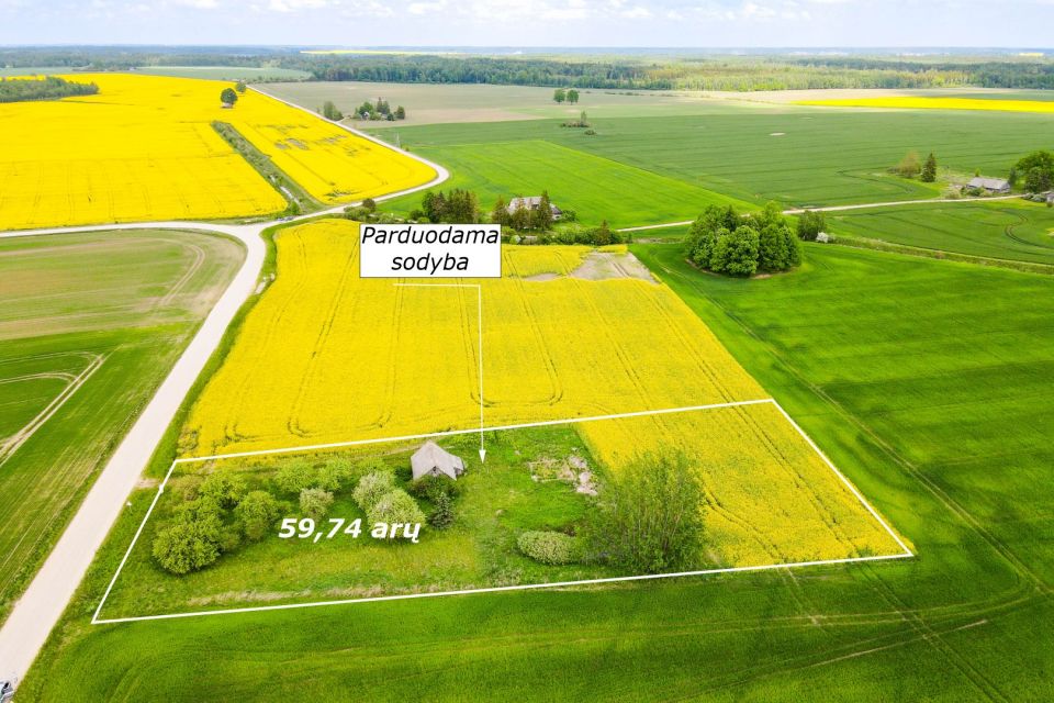 Parduodama sodyba su 59,74 arų namų valdos sklypu Aušrėnų k., Radviliškio r.