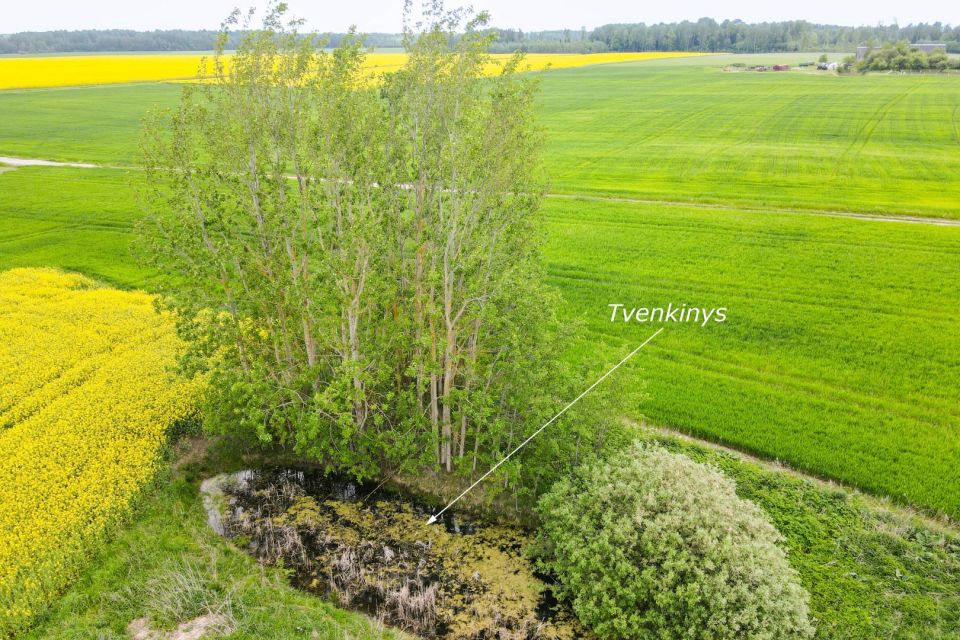Parduodama sodyba su 59,74 arų namų valdos sklypu Aušrėnų k., Radviliškio r.