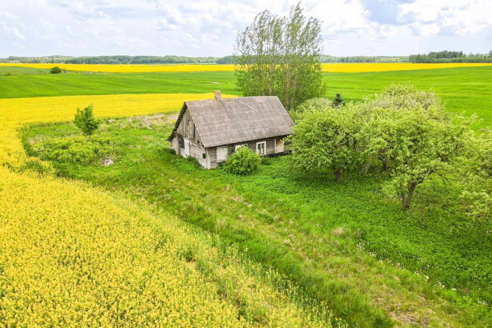 Parduodama sodyba su 59,74 arų namų valdos sklypu Aušrėnų k., Radviliškio r.