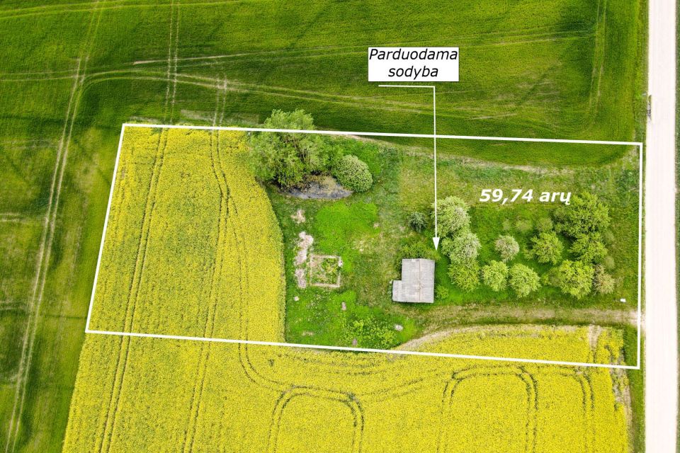 Parduodama sodyba su 59,74 arų namų valdos sklypu Aušrėnų k., Radviliškio r.