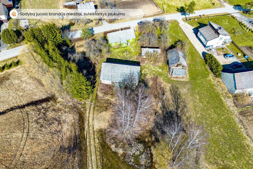 Parduodama sodyba su 7,36 ha bendro ploto sklypais Platelių g. 5, Žemaičių Kalvarijoje, Plungės r.
