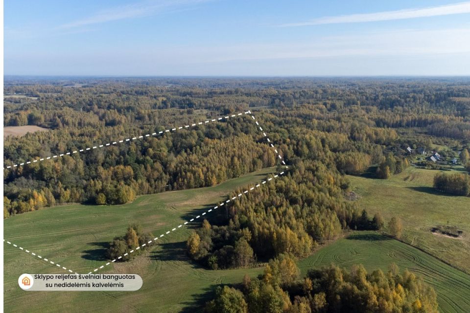 Parduodamas 11,035 ha. žemės sklypas, &Scaron;luini&scaron;kių k., Vilniaus r.