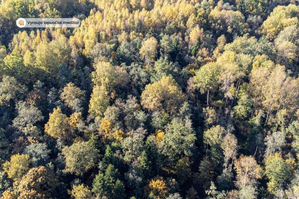 Parduodamas 11,035 ha. žemės sklypas, &Scaron;luini&scaron;kių k., Vilniaus r.