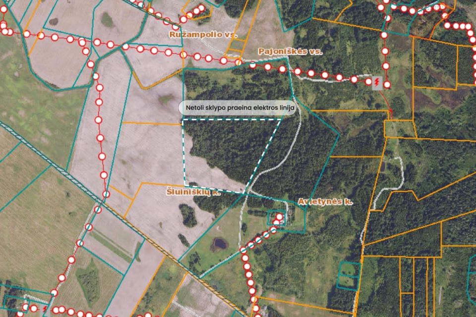 Parduodamas 11,035 ha. žemės sklypas, &Scaron;luini&scaron;kių k., Vilniaus r.