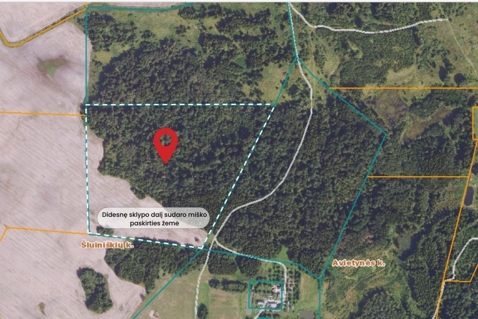 Parduodamas 11,035 ha. žemės sklypas, &Scaron;luini&scaron;kių k., Vilniaus r.