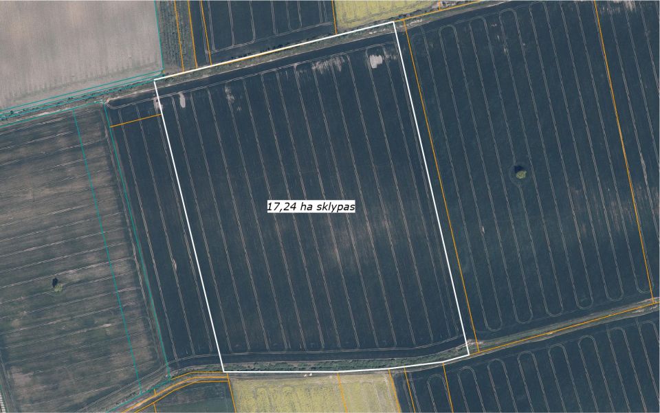 Parduodamas 17,24 ha, aukšto našumo balą turintis žemės ūkio paskirties sklypas, Suginčių k., Akmenės r.