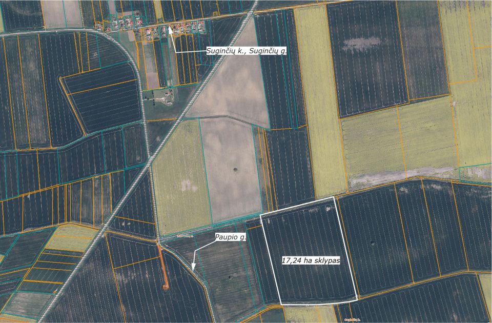 Parduodamas 17,24 ha, aukšto našumo balą turintis žemės ūkio paskirties sklypas, Suginčių k., Akmenės r.