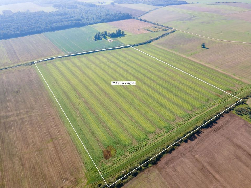 Parduodamas 17,24 ha, aukšto našumo balą turintis žemės ūkio paskirties sklypas, Suginčių k., Akmenės r.
