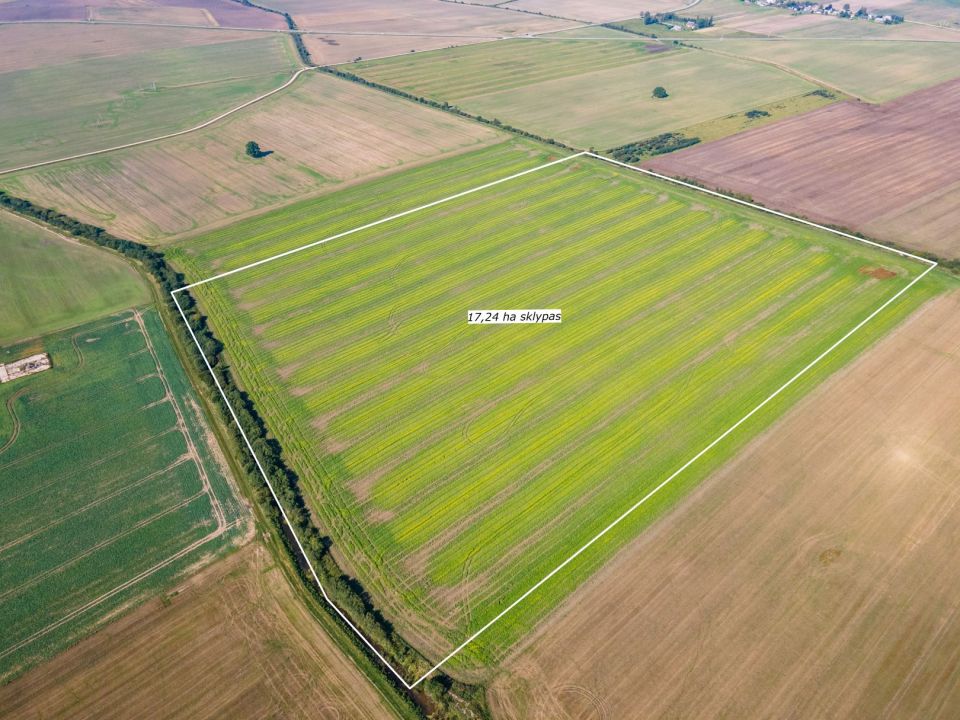 Parduodamas 17,24 ha, aukšto našumo balą turintis žemės ūkio paskirties sklypas, Suginčių k., Akmenės r.