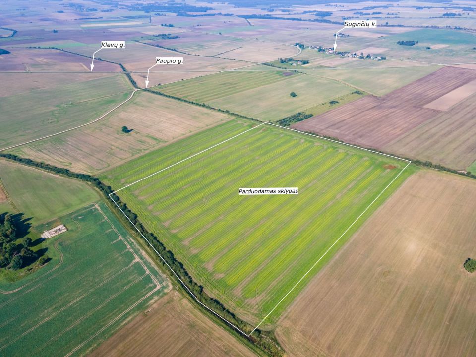 Parduodamas 17,24 ha, aukšto našumo balą turintis žemės ūkio paskirties sklypas, Suginčių k., Akmenės r.