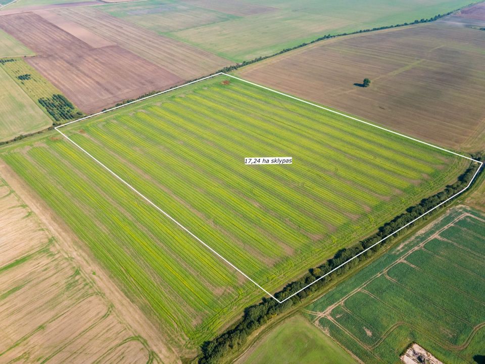 Parduodamas 17,24 ha, aukšto našumo balą turintis žemės ūkio paskirties sklypas, Suginčių k., Akmenės r.