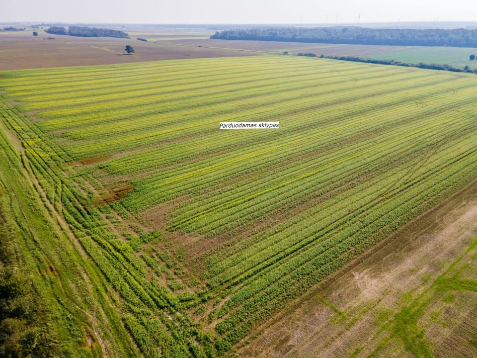 Parduodamas 17,24 ha, aukšto našumo balą turintis žemės ūkio paskirties sklypas, Suginčių k., Akmenės r.