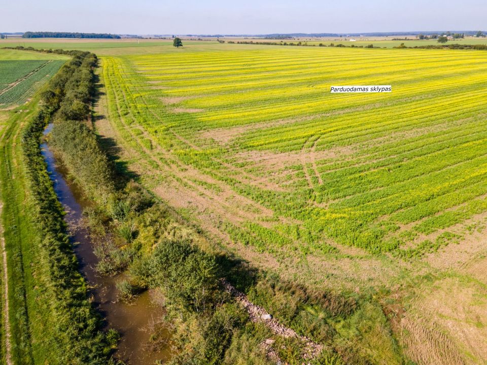 Parduodamas 17,24 ha, aukšto našumo balą turintis žemės ūkio paskirties sklypas, Suginčių k., Akmenės r.