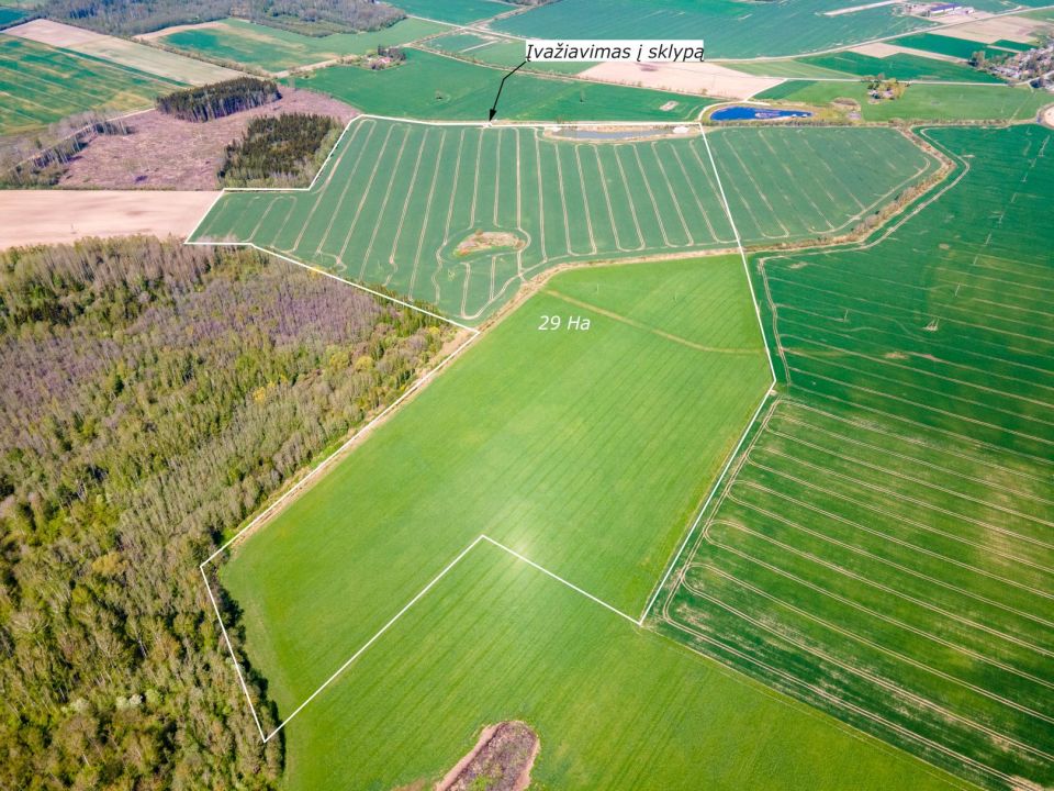 29 ha, itin aukšto našumo balą turintis žemės ūkio paskirties sklypas, Vagariškių k., Joniškio r.