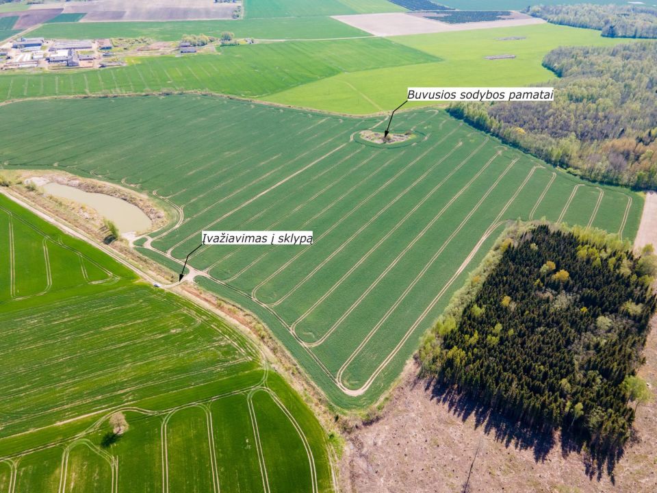 29 ha, itin aukšto našumo balą turintis žemės ūkio paskirties sklypas, Vagariškių k., Joniškio r.