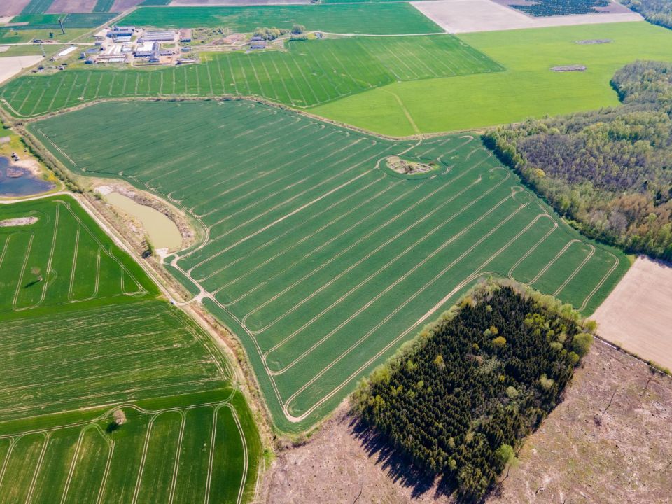 29 ha, itin aukšto našumo balą turintis žemės ūkio paskirties sklypas, Vagariškių k., Joniškio r.