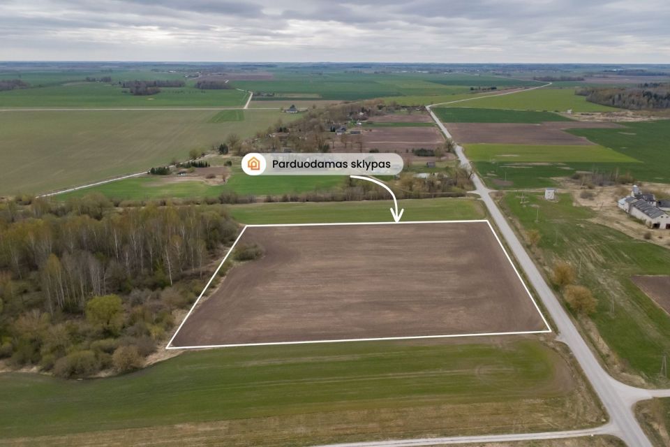 Parduodamas 2,4134 ha žemės ūkio paskirties sklypas Pakruojo rajone &ndash; Beinoraičių k.