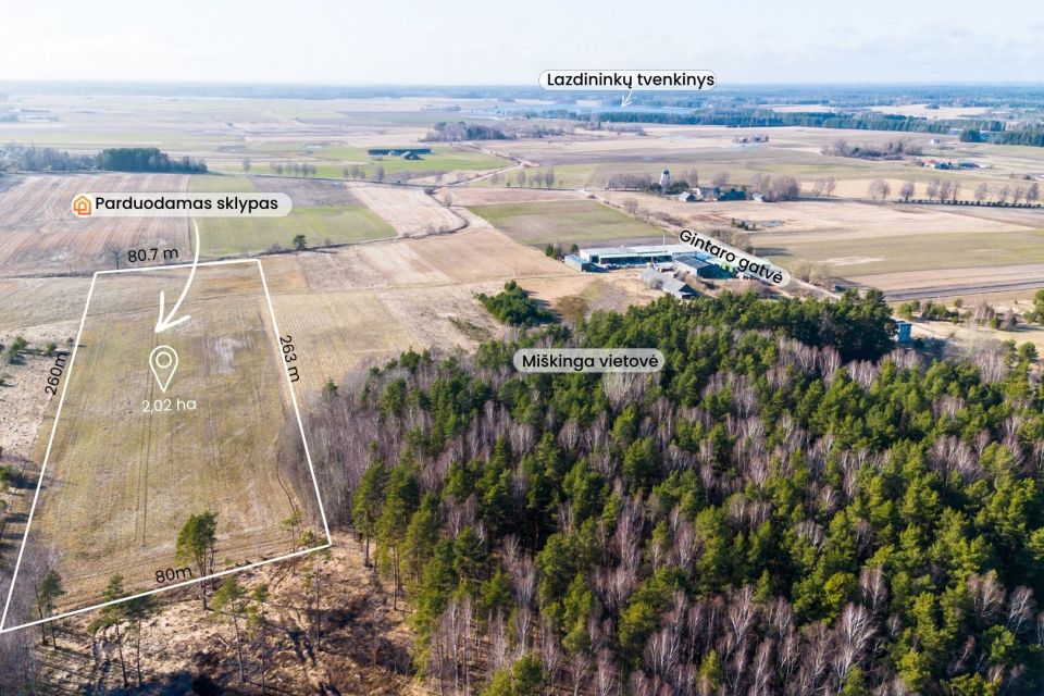 Parduodamas 2.02 ha žemės ūkio paskirties sklypas, Lazdininkų k. Darbėnų sen. Kretingos r.sav