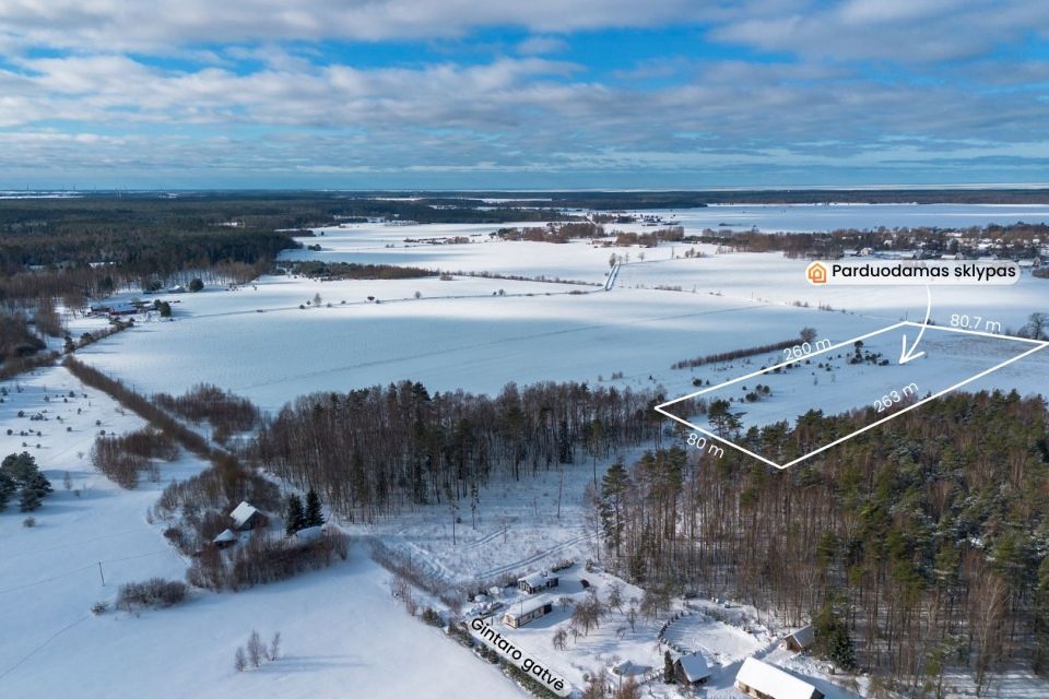 Parduodamas 2.02 ha žemės ūkio paskirties sklypas, Lazdininkų k. Darbėnų sen. Kretingos r.sav