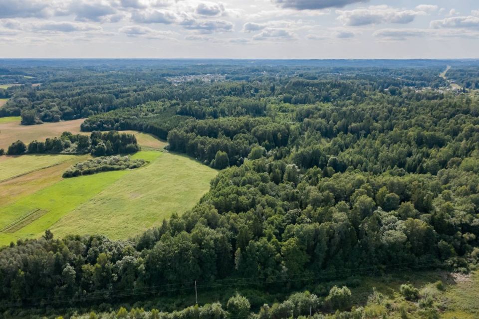 Parduodamas 37,82 ha i&scaron;puoselėtas mi&scaron;ko masyvas Tel&scaron;ių r., Berkinėnų k./Užgirių k.