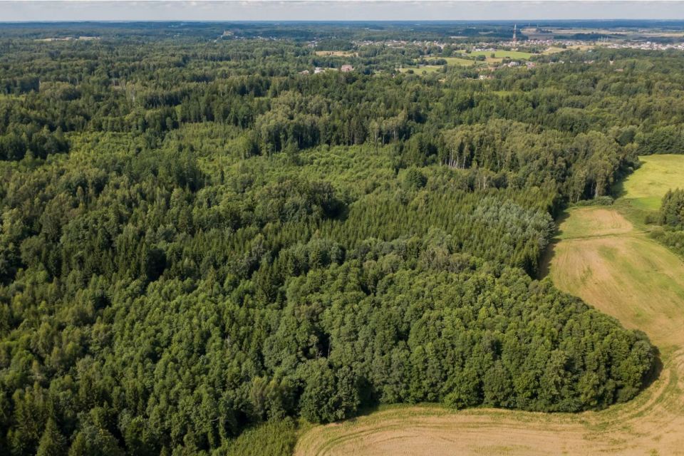 Parduodamas 37,82 ha i&scaron;puoselėtas mi&scaron;ko masyvas Tel&scaron;ių r., Berkinėnų k./Užgirių k.
