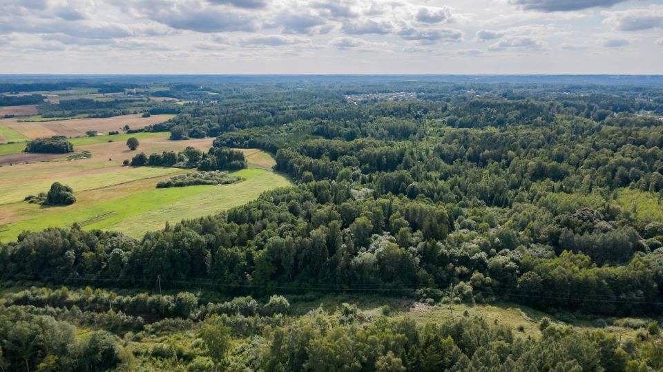 Parduodamas 37,82 ha i&scaron;puoselėtas mi&scaron;ko masyvas Tel&scaron;ių r., Berkinėnų k./Užgirių k.