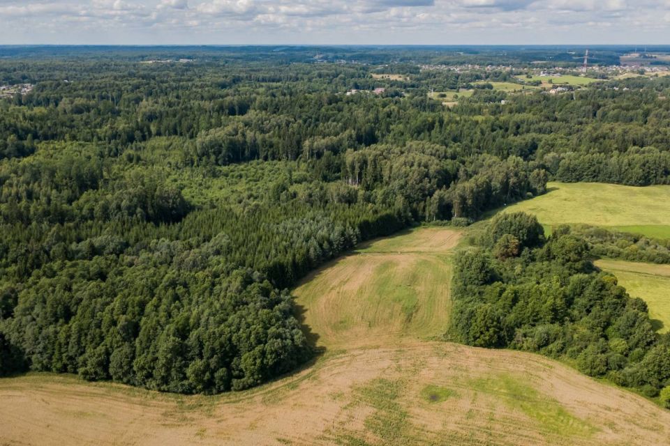 Parduodamas 37,82 ha i&scaron;puoselėtas mi&scaron;ko masyvas Tel&scaron;ių r., Berkinėnų k./Užgirių k.
