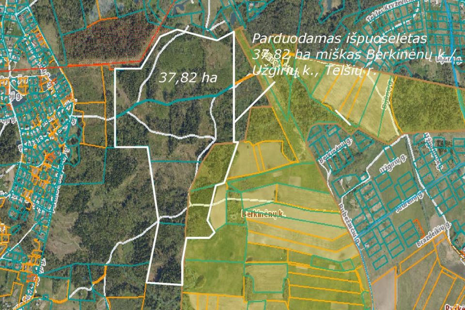 Parduodamas 37,82 ha i&scaron;puoselėtas mi&scaron;ko masyvas Tel&scaron;ių r., Berkinėnų k./Užgirių k.