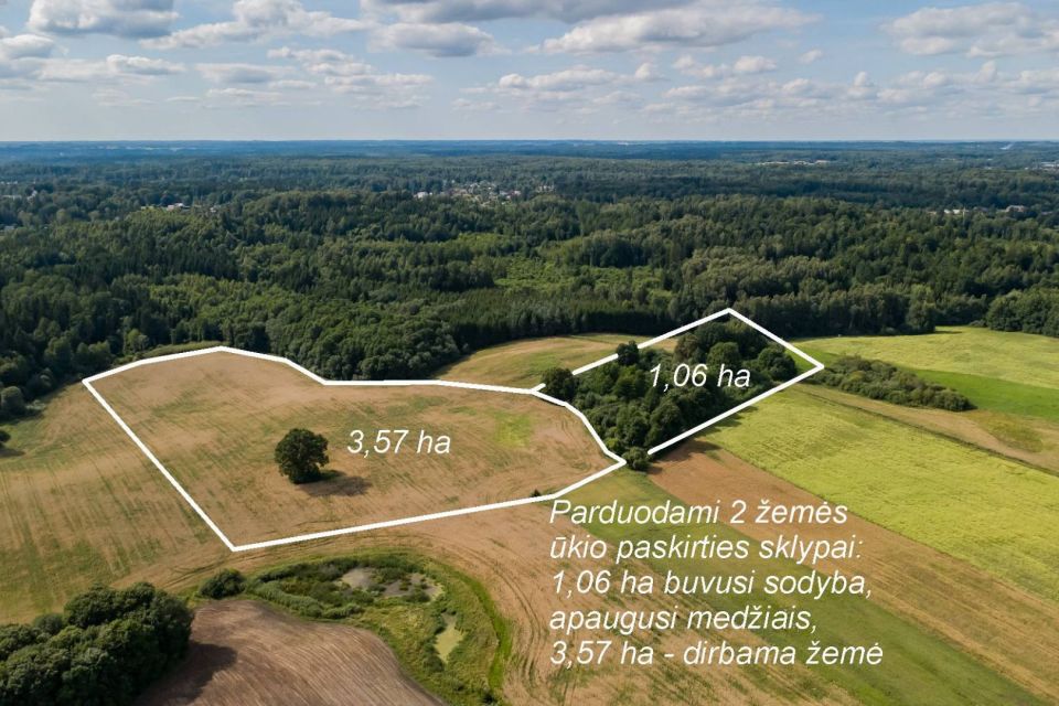 Parduodamas 37,82 ha i&scaron;puoselėtas mi&scaron;ko masyvas Tel&scaron;ių r., Berkinėnų k./Užgirių k.