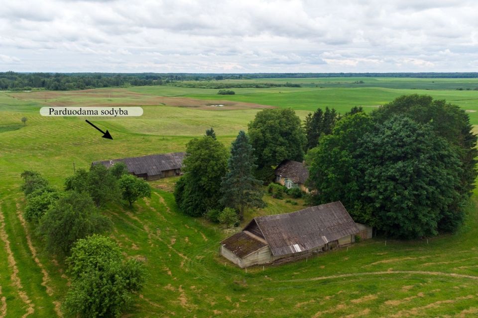 Parduodamas 4 ha vienkiemis Linki&scaron;kių k., Kupi&scaron;kio r.