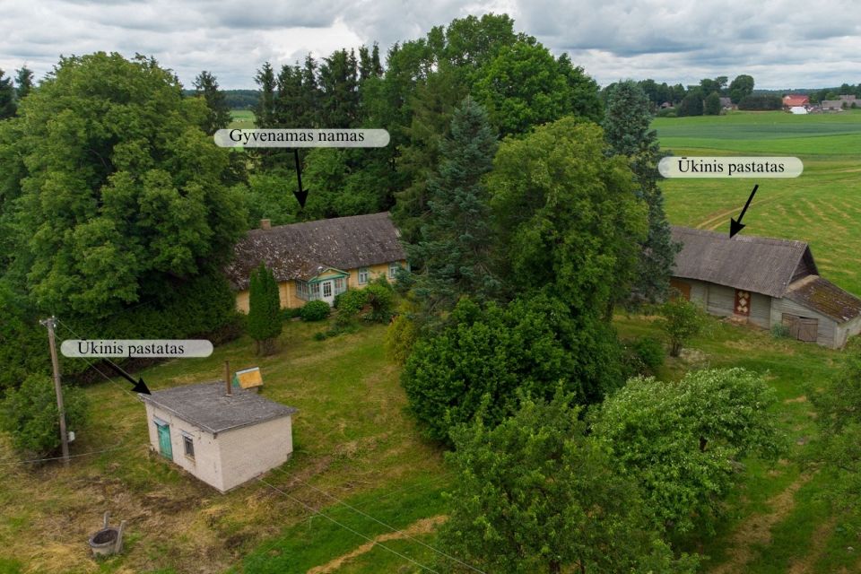 Parduodamas 4 ha vienkiemis Linki&scaron;kių k., Kupi&scaron;kio r.