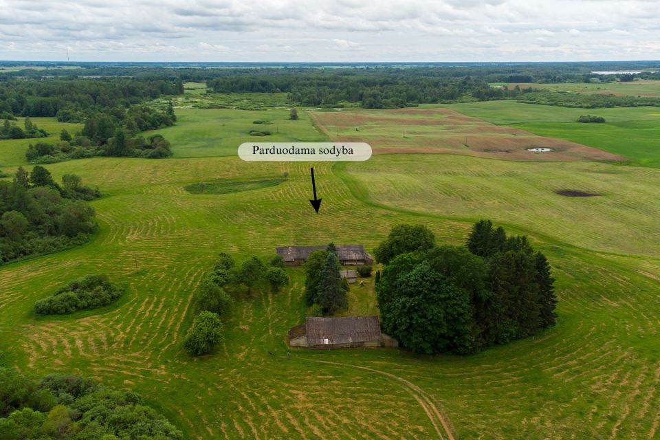 Parduodamas 4 ha vienkiemis Linki&scaron;kių k., Kupi&scaron;kio r.