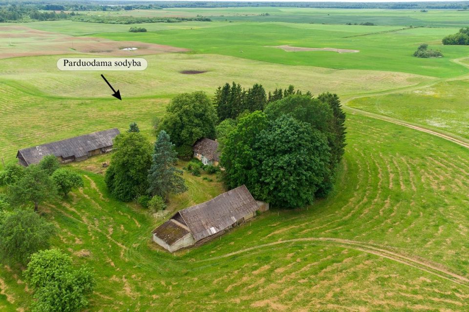 Parduodamas 4 ha vienkiemis Linki&scaron;kių k., Kupi&scaron;kio r.