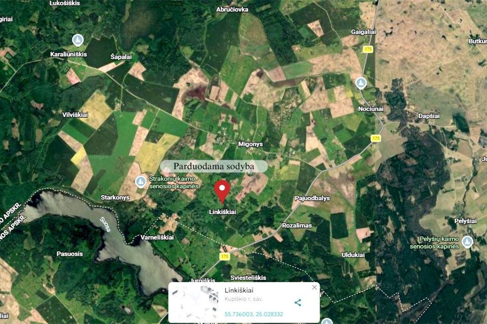 Parduodamas 4 ha vienkiemis Linki&scaron;kių k., Kupi&scaron;kio r.