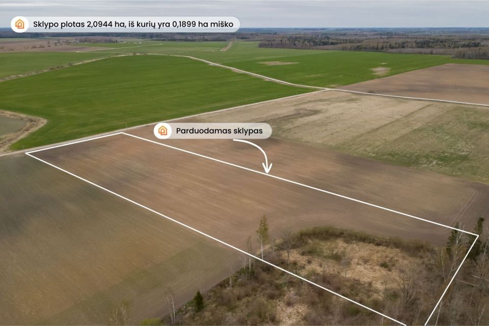 Parduodamas žemės ūkio paskirties sklypas Pakruojo rajone, Minelgių k.