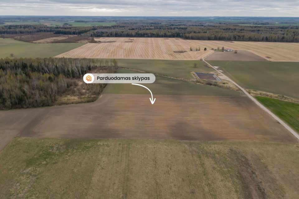 Parduodamas žemės ūkio paskirties sklypas Pakruojo rajone, Minelgių k.