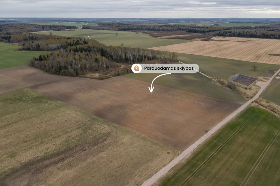 Parduodamas žemės ūkio paskirties sklypas Pakruojo rajone, Minelgių k.