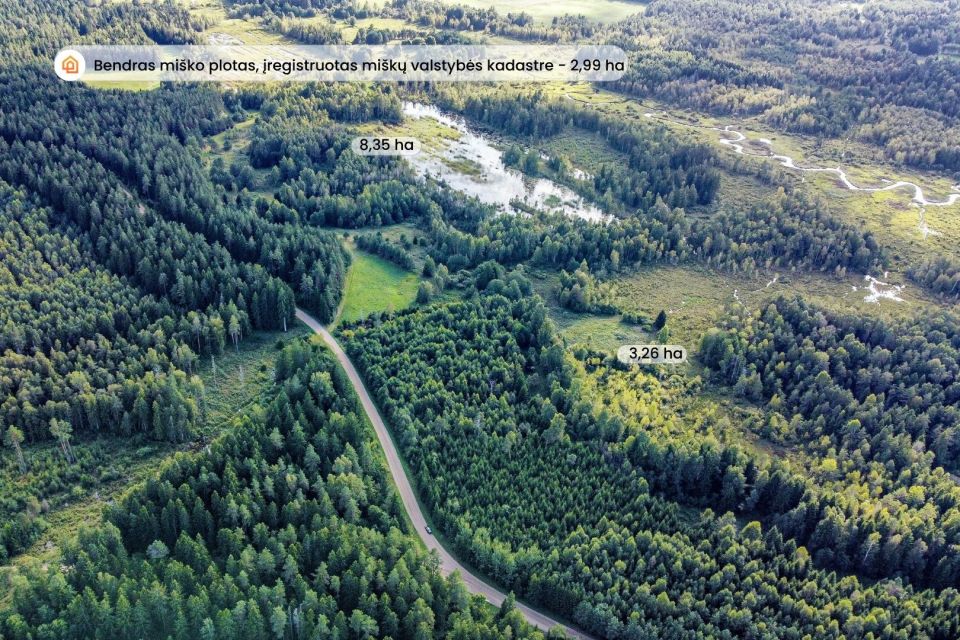 Parduodami du 11,61 ha bendro ploto sklypai gamtos apsuptyje, Lieplaukės k., Tel&scaron;ių r.