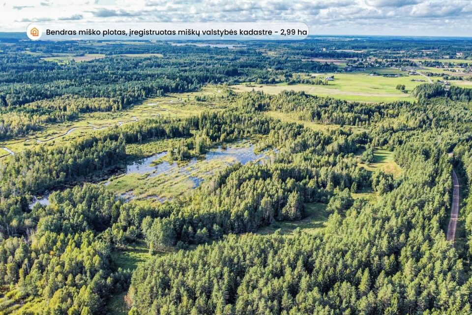 Parduodami du 11,61 ha bendro ploto sklypai gamtos apsuptyje, Lieplaukės k., Tel&scaron;ių r.