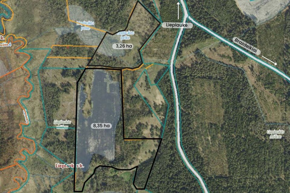 Parduodami du 11,61 ha bendro ploto sklypai gamtos apsuptyje, Lieplaukės k., Tel&scaron;ių r.