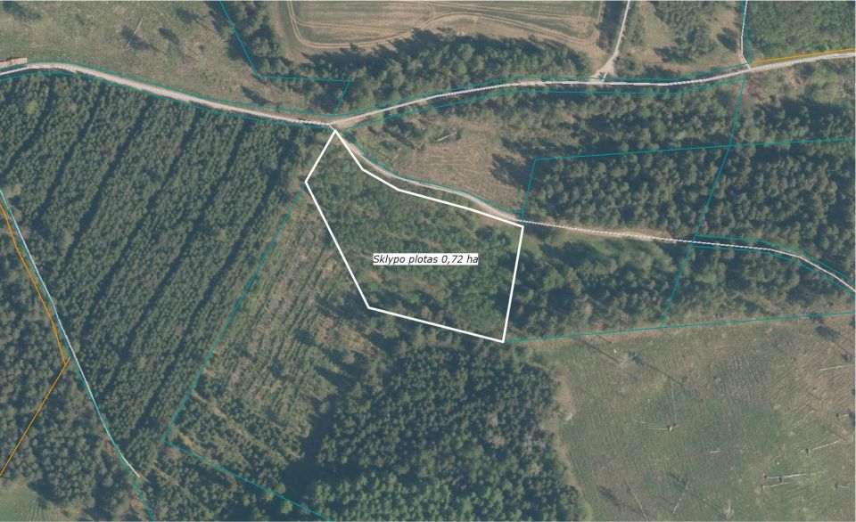 Parduodami trys sklypai, kurių bendras plotas 10,81 ha (sklypai – 8,94 ha, 1,15 ha ir 0,72 ha) žemės ūkio ir miško ūkio paskirties sklypai.
