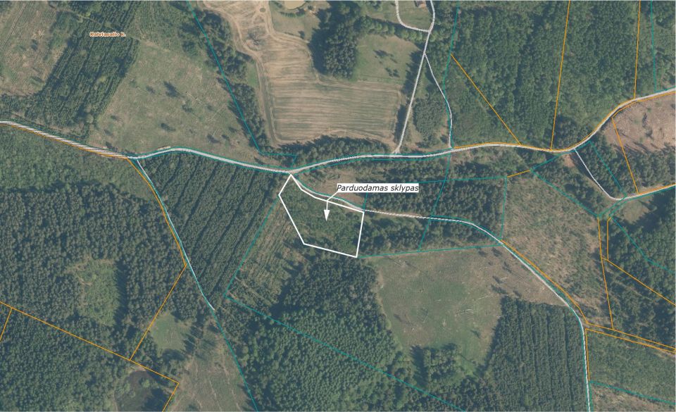Parduodami trys sklypai, kurių bendras plotas 10,81 ha (sklypai – 8,94 ha, 1,15 ha ir 0,72 ha) žemės ūkio ir miško ūkio paskirties sklypai.