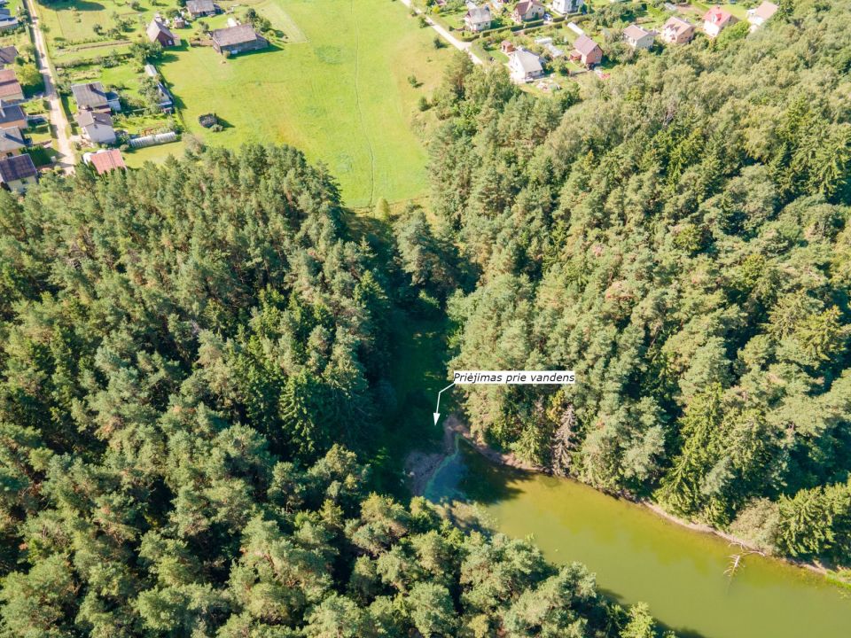Prie Bubių tvenkinio parduodamas 1,45 ha žemės ūkio paskirties sklypas su mišku, Gervėnų k., Šiaulių r. (SB „Svarainis“).