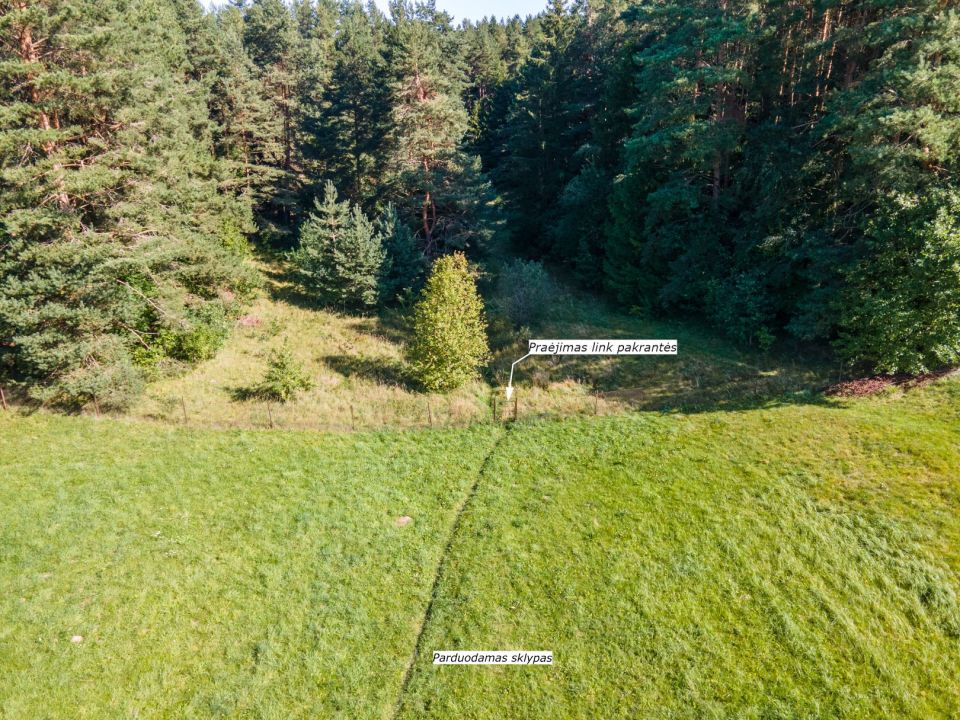 Prie Bubių tvenkinio parduodamas 1,45 ha žemės ūkio paskirties sklypas su mišku, Gervėnų k., Šiaulių r. (SB „Svarainis“).