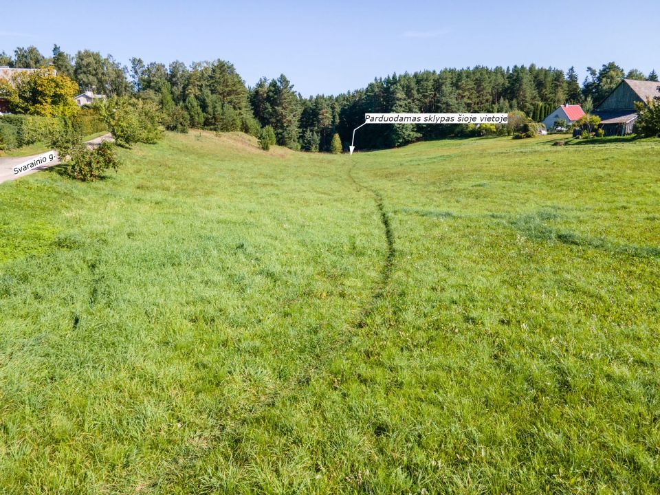 Prie Bubių tvenkinio parduodamas 1,45 ha žemės ūkio paskirties sklypas su mišku, Gervėnų k., Šiaulių r. (SB „Svarainis“).