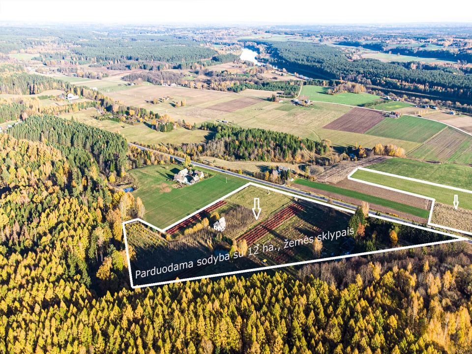 Prienų rajone, Žvyrynų k., šalia miško parduodama sodyba su rąstiniu namu, 3,7 ha., žemės sklypu, kuriame išvystytas šilauogių, slyvų ūkis.