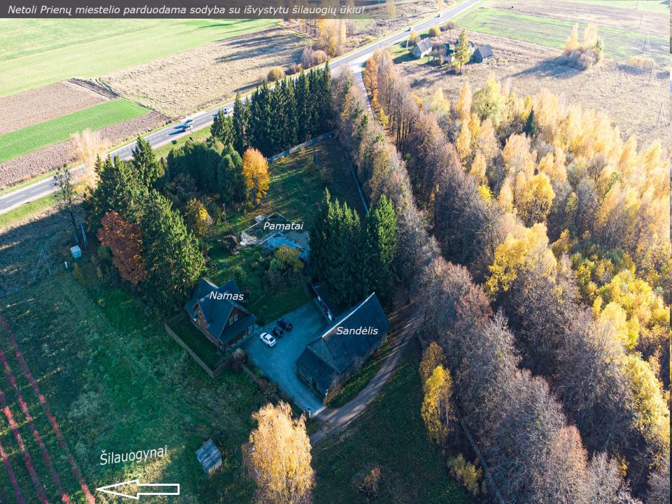 Prienų rajone, Žvyrynų k., šalia miško parduodama sodyba su rąstiniu namu ir 12 ha., žemės sklypu, kuriame išvystytas šilauogių ir slyvų ūkis.