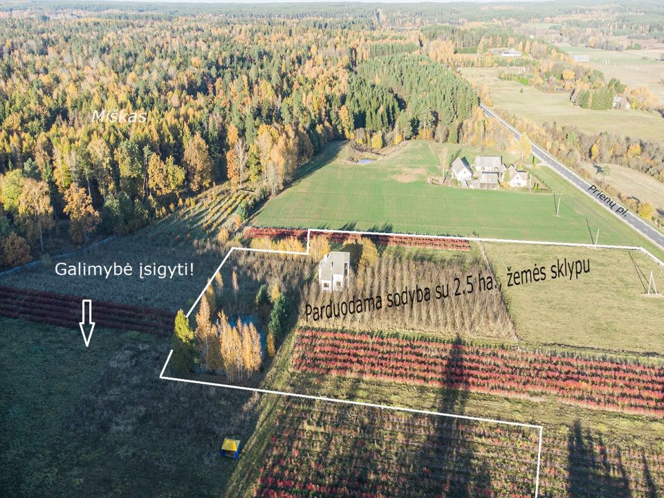Prienų rajone, Žvyrynų k., šalia miško parduodamas mūrinis namas su 2,5 ha., žemės sklypu.