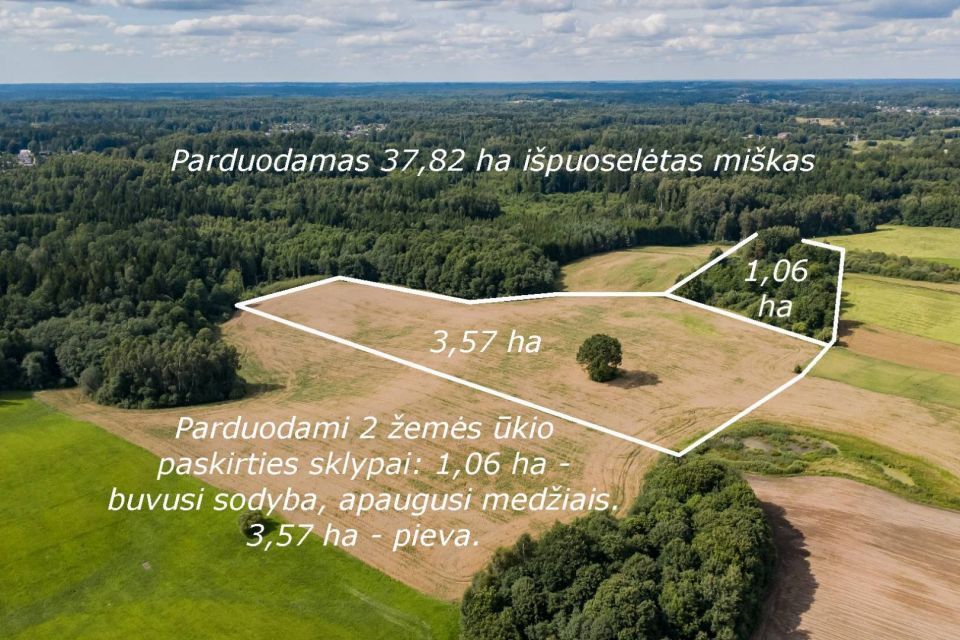&Scaron;alia mi&scaron;ko! Parduodamas 4,63 ha žemės ūkio paskirties sklypas Tel&scaron;ių r., Ry&scaron;kėnų sen., Berkinėnų k.
