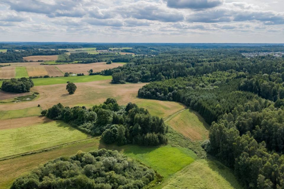 &Scaron;alia mi&scaron;ko! Parduodamas 4,63 ha žemės ūkio paskirties sklypas Tel&scaron;ių r., Ry&scaron;kėnų sen., Berkinėnų k.
